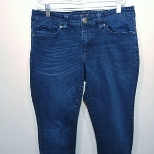 Seven7 Skinny Silver S Embroidered Pocket Size 10